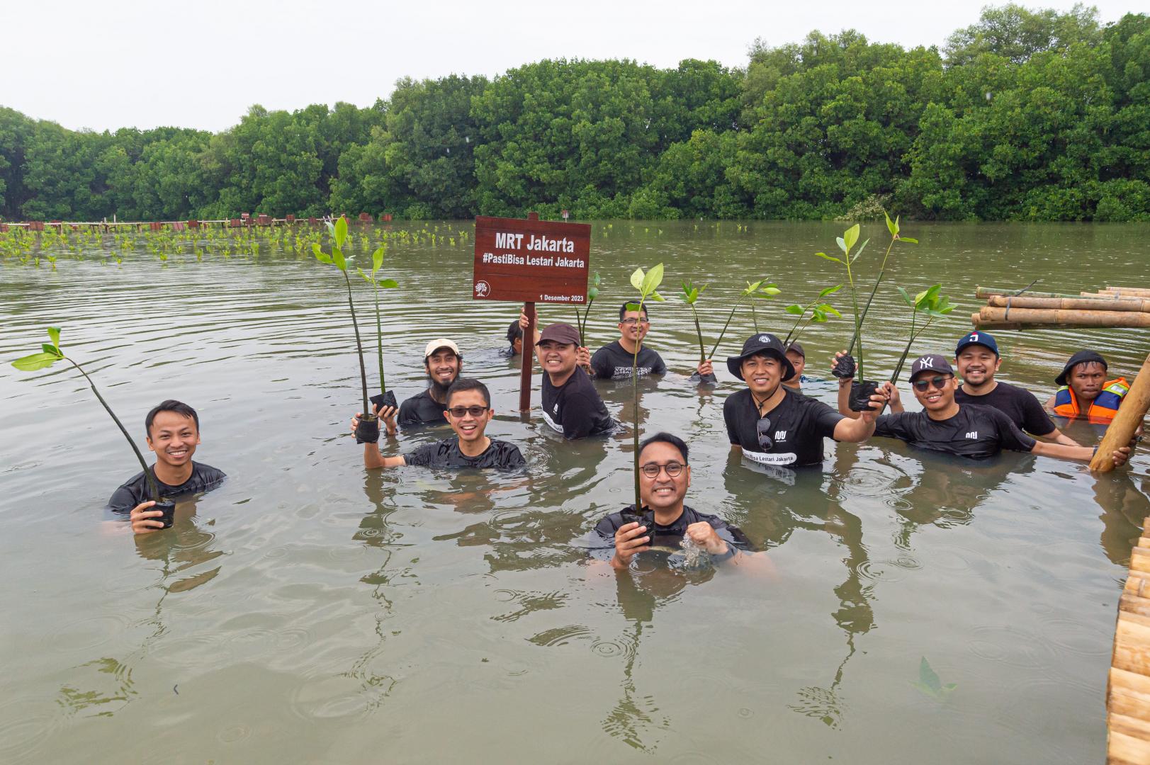 Penanaman pohon